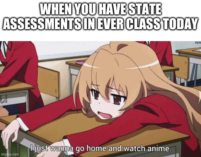 I just wanna go home and watch anime | WHEN YOU HAVE STATE ASSESSMENTS IN EVER CLASS TODAY | image tagged in i just wanna go home and watch anime | made w/ Imgflip meme maker