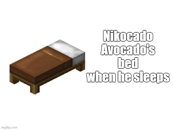 Nikocado Avocado's bed when he sleeps | made w/ Imgflip meme maker