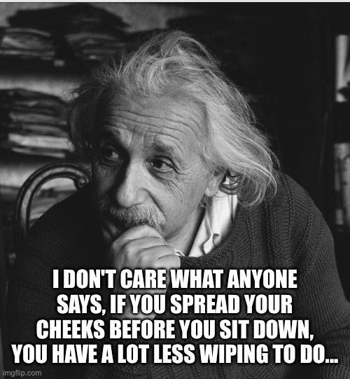 Pure Genius | I DON'T CARE WHAT ANYONE SAYS, IF YOU SPREAD YOUR CHEEKS BEFORE YOU SIT DOWN, YOU HAVE A LOT LESS WIPING TO DO... | image tagged in einstein genius,poop,idea,smart,toilet | made w/ Imgflip meme maker