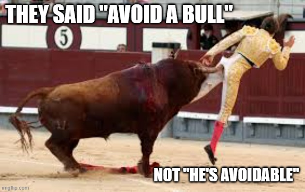 memes by Brad the bull wasnot avoidable | THEY SAID "AVOID A BULL"; NOT "HE'S AVOIDABLE" | image tagged in sports,funny,bull,funny meme,humor | made w/ Imgflip meme maker