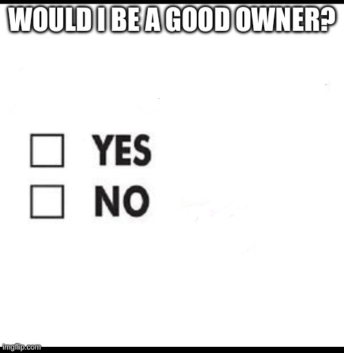 Check yes or no | WOULD I BE A GOOD OWNER? | image tagged in check yes or no | made w/ Imgflip meme maker