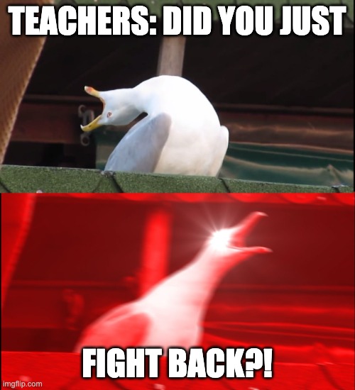 Screaming bird | TEACHERS: DID YOU JUST FIGHT BACK?! | image tagged in screaming bird | made w/ Imgflip meme maker