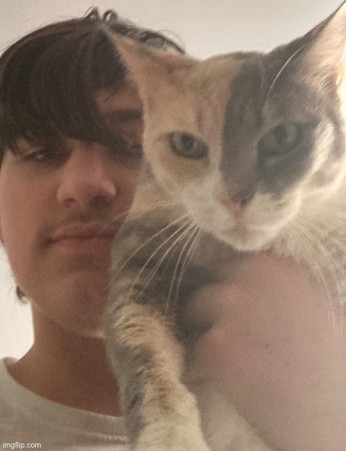 Kitty | made w/ Imgflip meme maker