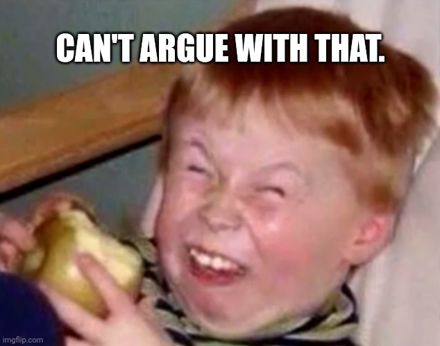 Sarcastic laughing kid | CAN'T ARGUE WITH THAT. | image tagged in sarcastic laughing kid | made w/ Imgflip meme maker