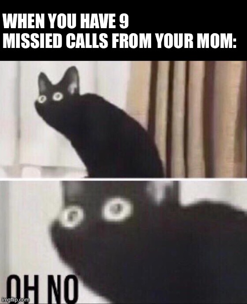 Oh no cat | WHEN YOU HAVE 9 MISSIED CALLS FROM YOUR MOM: | image tagged in oh no cat | made w/ Imgflip meme maker