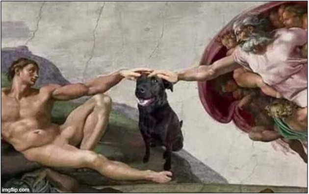 The Creation Of Dog | image tagged in dogs,creation | made w/ Imgflip meme maker