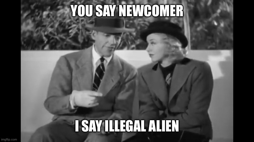 YOU SAY NEWCOMER I SAY ILLEGAL ALIEN | made w/ Imgflip meme maker