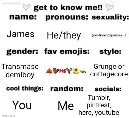 I'll try to post more often guys I don't want to be forgotten here and I don't want this place to die | James; He/they; Questioning/pansexual; Grunge or cottagecore; 🍁🦫🇨🇦🫎🌻🐝; Transmasc demiboy; Tumblr, pintrest, here, youtube; Me; You | image tagged in get to know me but better | made w/ Imgflip meme maker