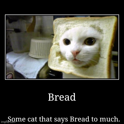 Bread | Some cat that says Bread to much. | image tagged in funny,demotivationals | made w/ Imgflip demotivational maker