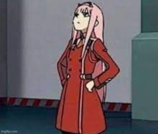 zero two what | image tagged in zero two what | made w/ Imgflip meme maker