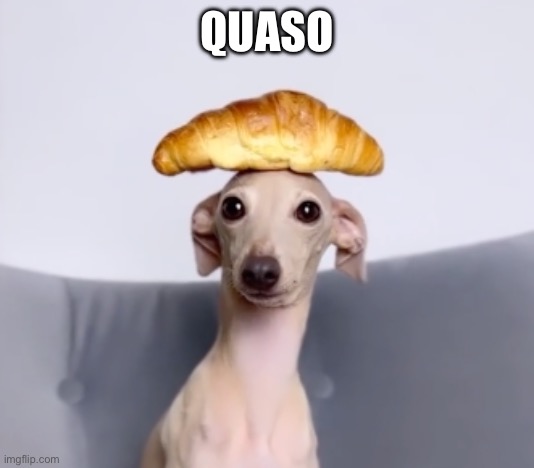 Croissant Dog | QUASO | image tagged in croissant dog | made w/ Imgflip meme maker