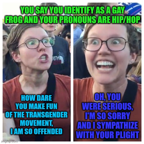 Satire or reality? | YOU SAY YOU IDENTIFY AS A GAY FROG AND YOUR PRONOUNS ARE HIP/HOP; HOW DARE YOU MAKE FUN OF THE TRANSGENDER MOVEMENT, I AM SO OFFENDED; OH, YOU WERE SERIOUS, I'M SO SORRY AND I SYMPATHIZE WITH YOUR PLIGHT | image tagged in hypocrite liberal | made w/ Imgflip meme maker