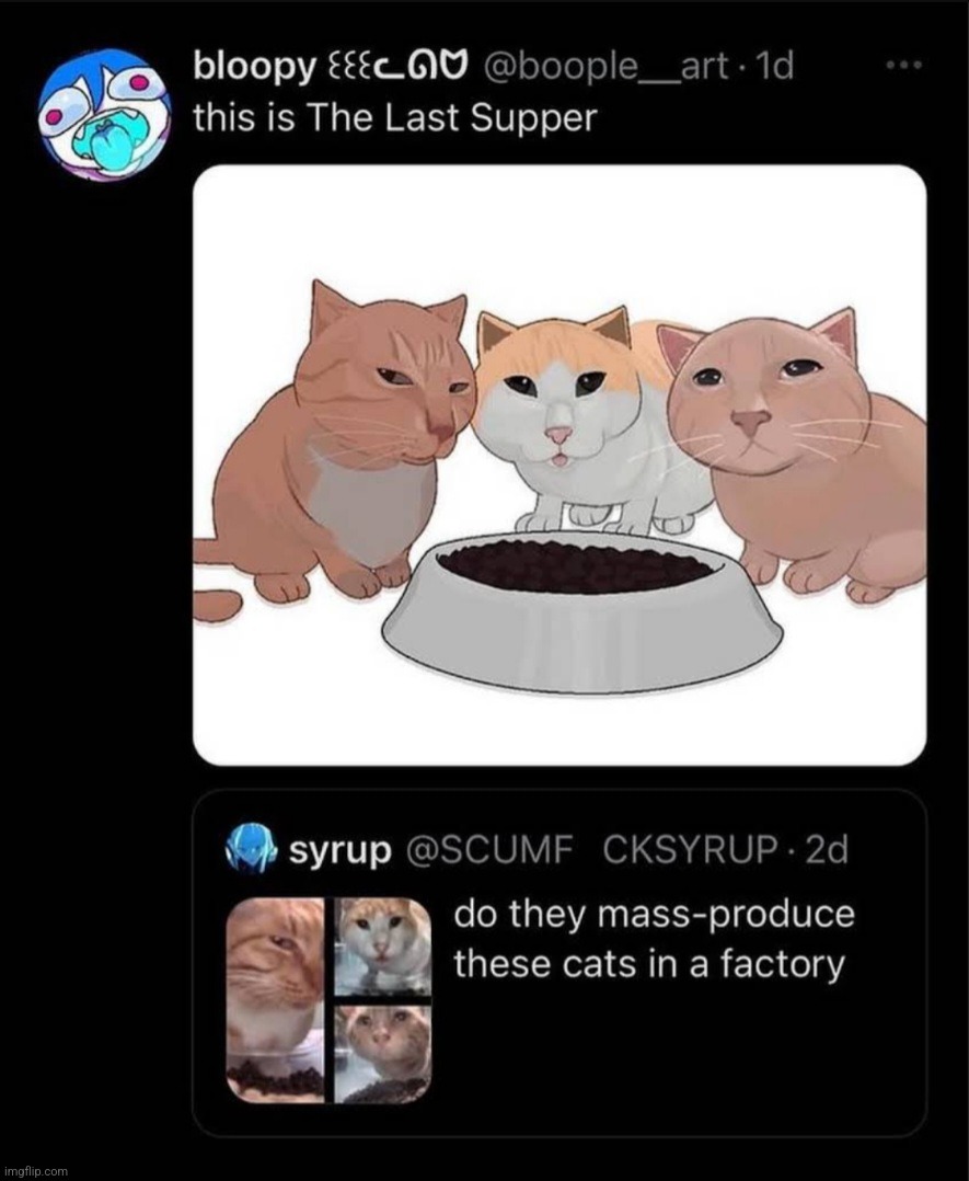 cat | image tagged in somebody just love me | made w/ Imgflip meme maker