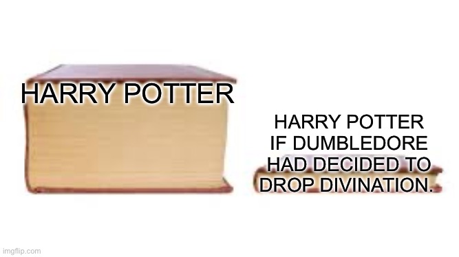 Big book small book | HARRY POTTER; HARRY POTTER IF DUMBLEDORE HAD DECIDED TO DROP DIVINATION. | image tagged in big book small book | made w/ Imgflip meme maker