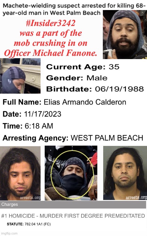 Another Murdering Tourist | image tagged in domestic terrorist | made w/ Imgflip meme maker