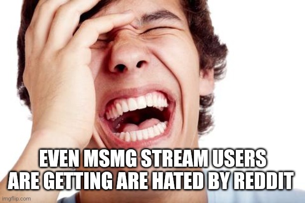 hilarious | EVEN MSMG STREAM USERS ARE GETTING ARE HATED BY REDDIT | image tagged in hilarious | made w/ Imgflip meme maker