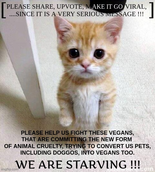 NOT EVERYTHING IS A JOKE ....on imgflip. | AKE IT GO; PLEASE SHARE, UPVOTE, MAKE IT GO VIRAL,
....SINCE IT IS A VERY SERIOUS MESSAGE !!! PLEASE HELP US FIGHT THESE VEGANS,
THAT ARE COMMITTING THE NEW FORM 
OF ANIMAL CRUELTY, TRYING TO CONVERT US PETS,
INCLUDING DOGGOS, INTO VEGANS TOO. WE ARE STARVING !!! | image tagged in memes,cute cat,vegan,help wanted,poor animals,deep thoughts | made w/ Imgflip meme maker