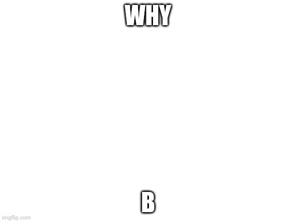 Idk | WHY; B | image tagged in blank white template | made w/ Imgflip meme maker