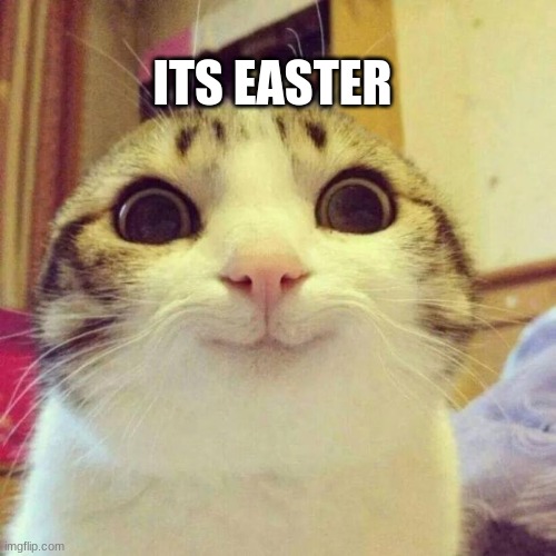 Smiling Cat Meme | ITS EASTER | image tagged in memes,smiling cat | made w/ Imgflip meme maker