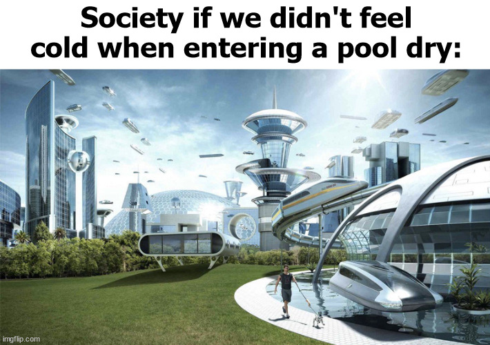 Even though you can just swim it off, you dont wanna be cold | Society if we didn't feel cold when entering a pool dry: | image tagged in the future world if,memes | made w/ Imgflip meme maker