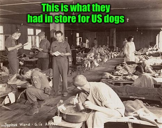 This is what they had in store for US dogs | made w/ Imgflip meme maker