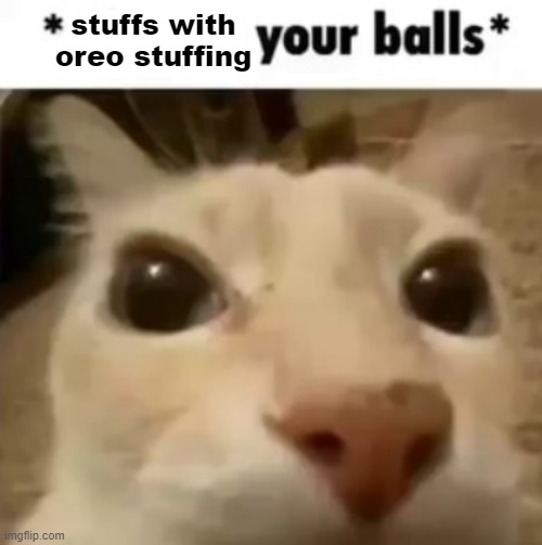 X your balls | stuffs with oreo stuffing | image tagged in x your balls | made w/ Imgflip meme maker