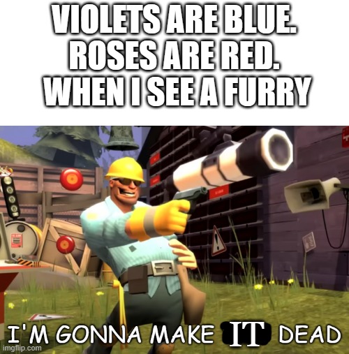 POW! you are dead! | VIOLETS ARE BLUE.
ROSES ARE RED.
 WHEN I SEE A FURRY; IT | image tagged in im gonna make you dead | made w/ Imgflip meme maker