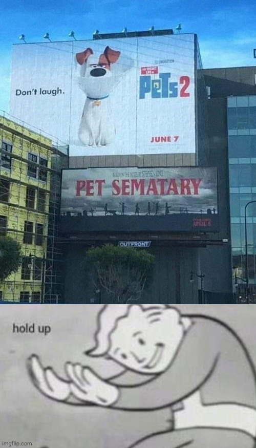This killed my pets soul | image tagged in pets,funny,you had one job | made w/ Imgflip meme maker