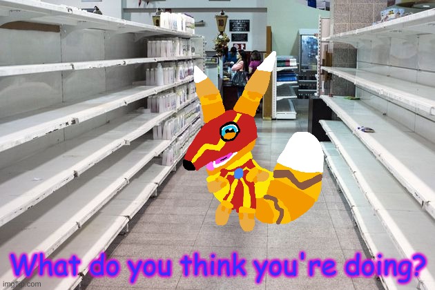 Store shelves | What do you think you're doing? | image tagged in store shelves | made w/ Imgflip meme maker