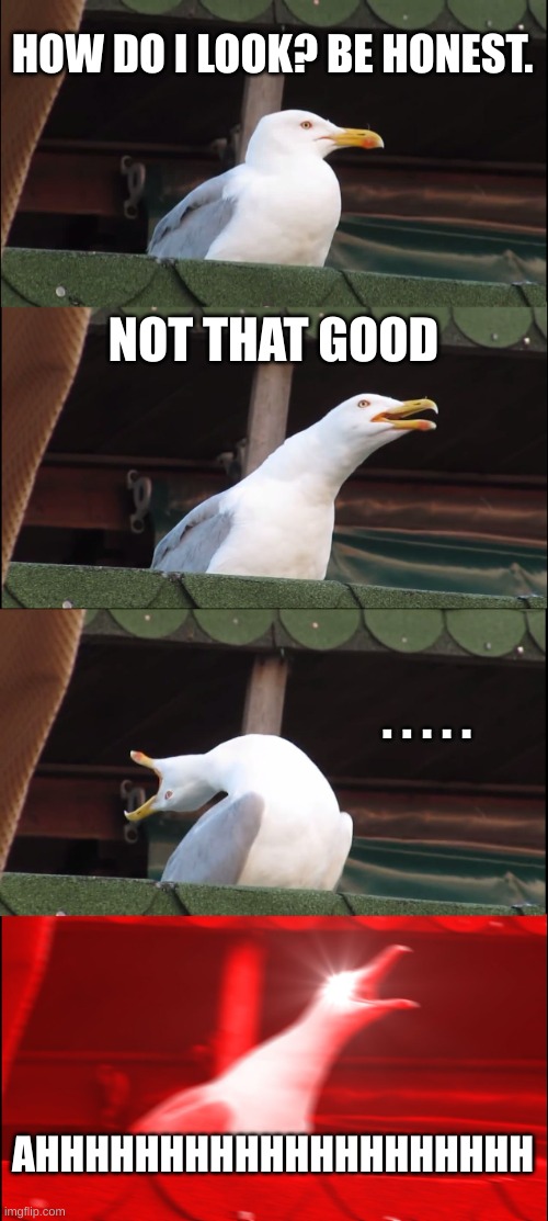 When someone asks what they look like | HOW DO I LOOK? BE HONEST. NOT THAT GOOD; . . . . . AHHHHHHHHHHHHHHHHHHHH | image tagged in memes,inhaling seagull | made w/ Imgflip meme maker