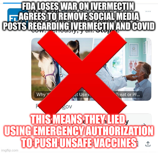 Someone Needs To Be Prosecuted | FDA LOSES WAR ON IVERMECTIN 
AGREES TO REMOVE SOCIAL MEDIA POSTS REGARDING IVERMECTIN AND COVID; THIS MEANS THEY LIED 
USING EMERGENCY AUTHORIZATION
TO PUSH UNSAFE VACCINES | made w/ Imgflip meme maker