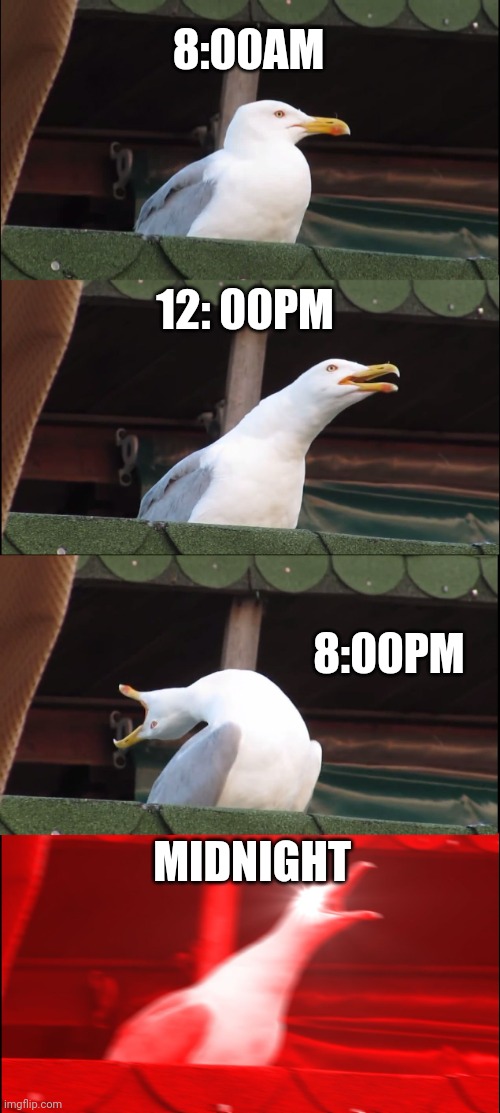 Inhaling Seagull Meme | 8:00AM; 12: 00PM; 8:00PM; MIDNIGHT | image tagged in memes,inhaling seagull | made w/ Imgflip meme maker
