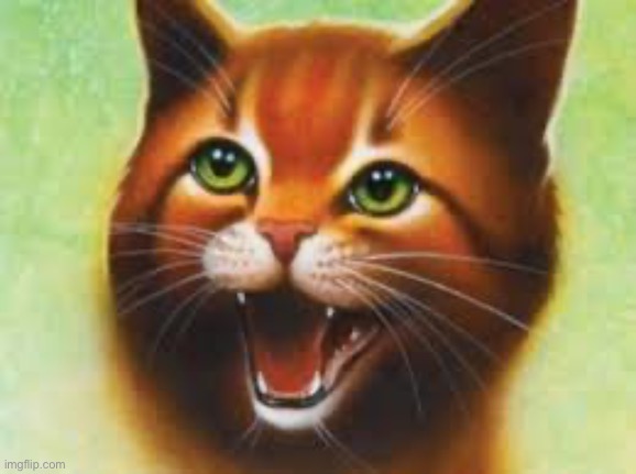 Warrior cats Firestar | image tagged in warrior cats firestar | made w/ Imgflip meme maker