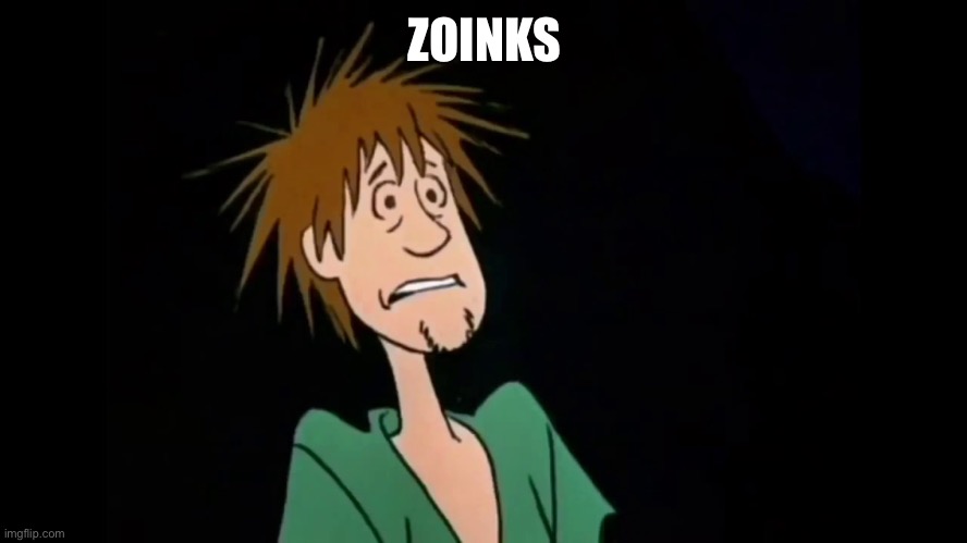 Zoinks | ZOINKS | image tagged in zoinks | made w/ Imgflip meme maker