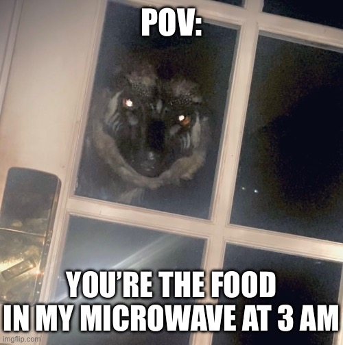 POV:; YOU’RE THE FOOD IN MY MICROWAVE AT 3 AM | image tagged in memes,dinosaurs,dinosaur,pov,shitpost,funny memes | made w/ Imgflip meme maker