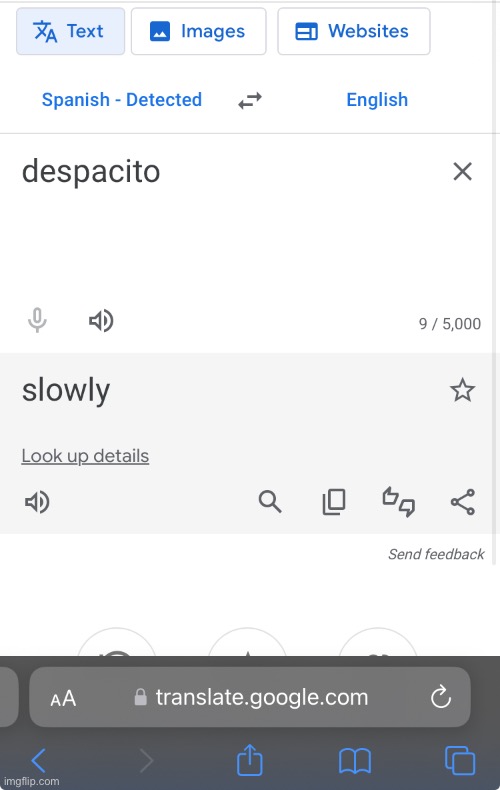 So ur tellin me, that despacito spiders are called slowly spiders? That is the dumbest name in the history of dumbest names | image tagged in google translate,despacito,roblox | made w/ Imgflip meme maker