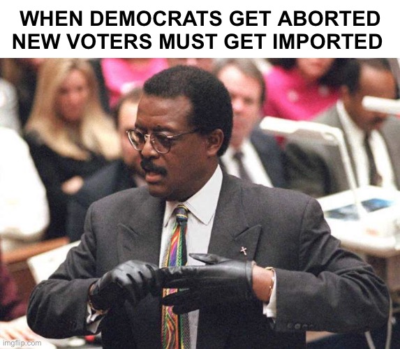 Johnnie Cochran | WHEN DEMOCRATS GET ABORTED
NEW VOTERS MUST GET IMPORTED | image tagged in johnnie cochran | made w/ Imgflip meme maker