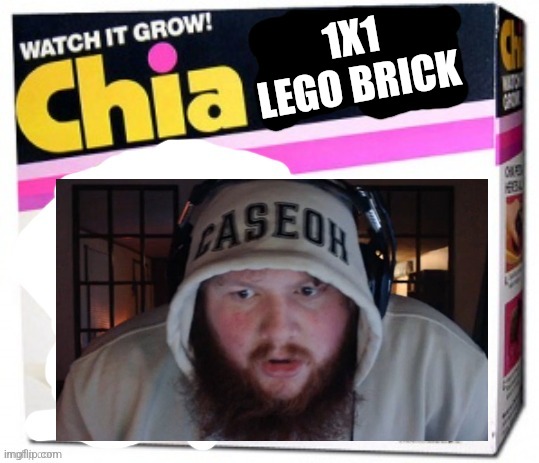 Tell me in the comments ur opinion is that a 1x1 Lego brick | 1X1 LEGO BRICK | image tagged in chia pet blank | made w/ Imgflip meme maker