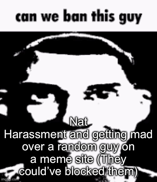 Can we ban this guy | Nat
Harassment and getting mad over a random guy on a meme site (They could’ve blocked them) | image tagged in can we ban this guy | made w/ Imgflip meme maker