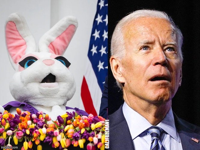 Joe Biden Confused | CALJFREEMAN1 | image tagged in joe biden confused,easter bunny,easter,maga,republicans,donald trump | made w/ Imgflip meme maker