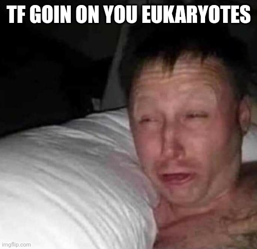 Sleepy guy | TF GOIN ON YOU EUKARYOTES | image tagged in sleepy guy | made w/ Imgflip meme maker