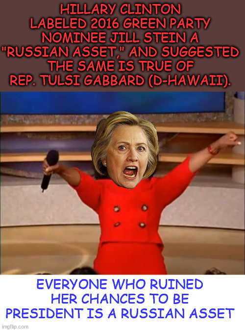 Third party votes now being blamed for Hillary's 2016 loss | HILLARY CLINTON LABELED 2016 GREEN PARTY NOMINEE JILL STEIN A "RUSSIAN ASSET," AND SUGGESTED THE SAME IS TRUE OF REP. TULSI GABBARD (D-HAWAI | image tagged in memes,democrats,say voters who don't vote for democrats,are cockroaches | made w/ Imgflip meme maker