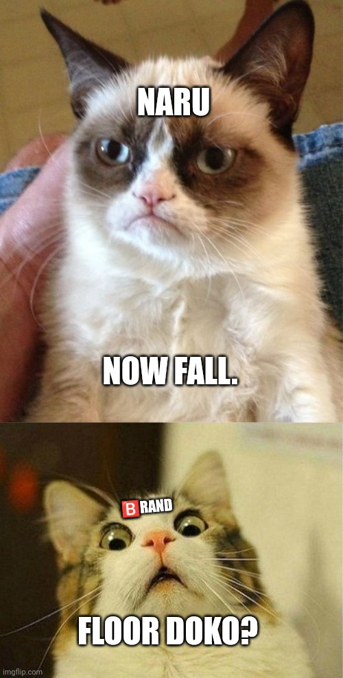 NARU; NOW FALL. 🅱️RAND; FLOOR DOKO? | image tagged in memes,grumpy cat,scared cat | made w/ Imgflip meme maker