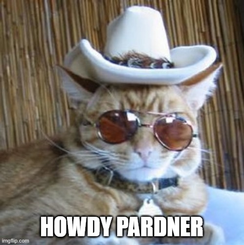 Howdy | HOWDY PARDNER | image tagged in howdy | made w/ Imgflip meme maker