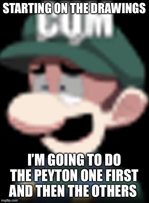 Why do y’all want my character in maid outfit | STARTING ON THE DRAWINGS; I’M GOING TO DO THE PEYTON ONE FIRST AND THEN THE OTHERS | image tagged in luigi s reaction | made w/ Imgflip meme maker