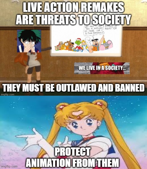 deku and sailor moon | PROTECT ANIMATION FROM THEM | image tagged in deku and live action remakes,sailor moon,my hero academia,we live in a society,banned,law | made w/ Imgflip meme maker
