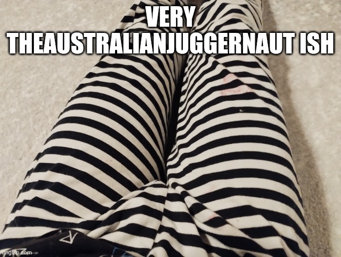 Ayden's thighs | VERY THEAUSTRALIANJUGGERNAUT ISH | image tagged in theaustralianjuggernaut thighs | made w/ Imgflip meme maker