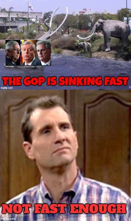 NOT FAST ENOUGH | image tagged in al bundy | made w/ Imgflip meme maker