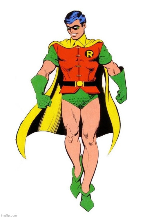 Robin | image tagged in msmg | made w/ Imgflip meme maker
