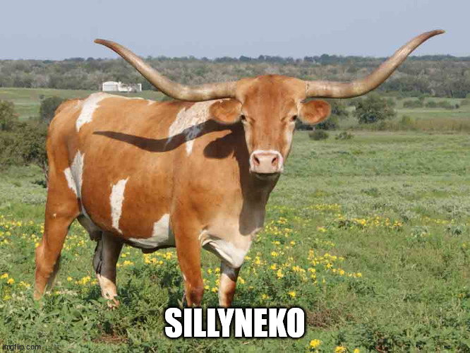 a rare photo of silly_neko IRL | SILLYNEKO | image tagged in longhorn cattle | made w/ Imgflip meme maker